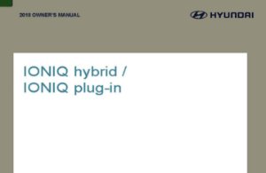 2018 Hyundai IONIQ EV Owner's Manual